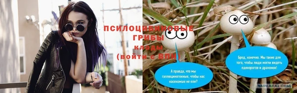 шишки Верея