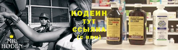 дживик Верхний Тагил