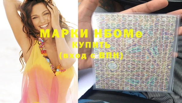 шишки Верея