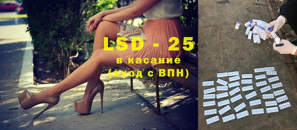 шишки Верея