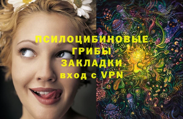 скорость Бронницы