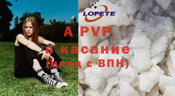 PSILOCYBIN Бугульма