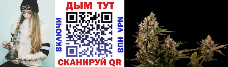 Каннабис Amnesia Новороссийск